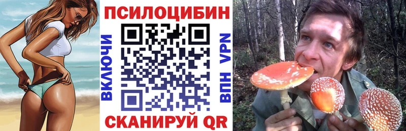 Псилоцибиновые грибы Psilocybine cubensis  Качканар 